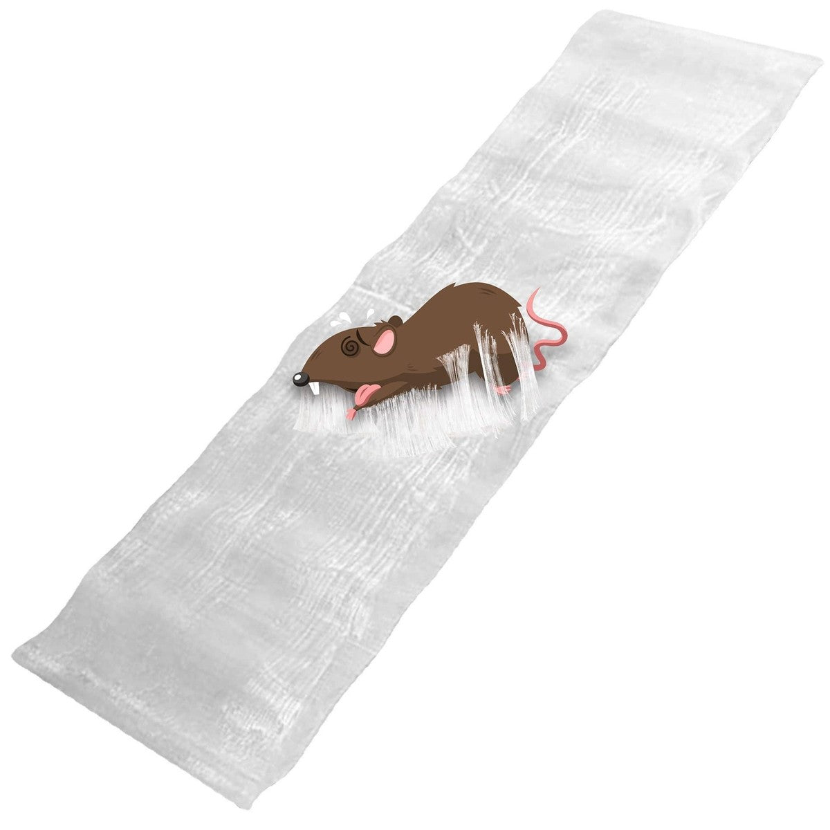 🐭 Piège à Souris non toxique – Dites à dieu aux souris chez vous !